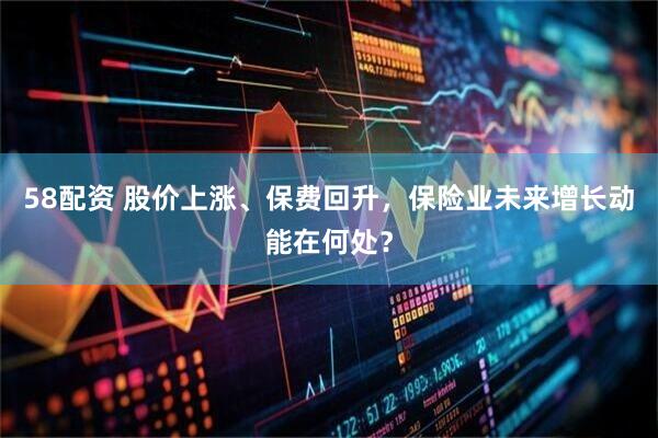 58配资 股价上涨、保费回升，保险业未来增长动能在何处？